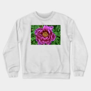 Japanese Tree Peony Crewneck Sweatshirt